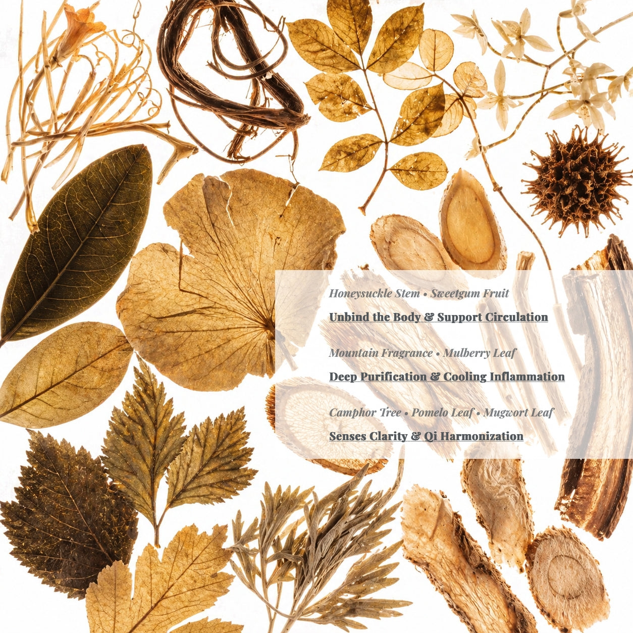 DETOX - Herbal Bath Soak