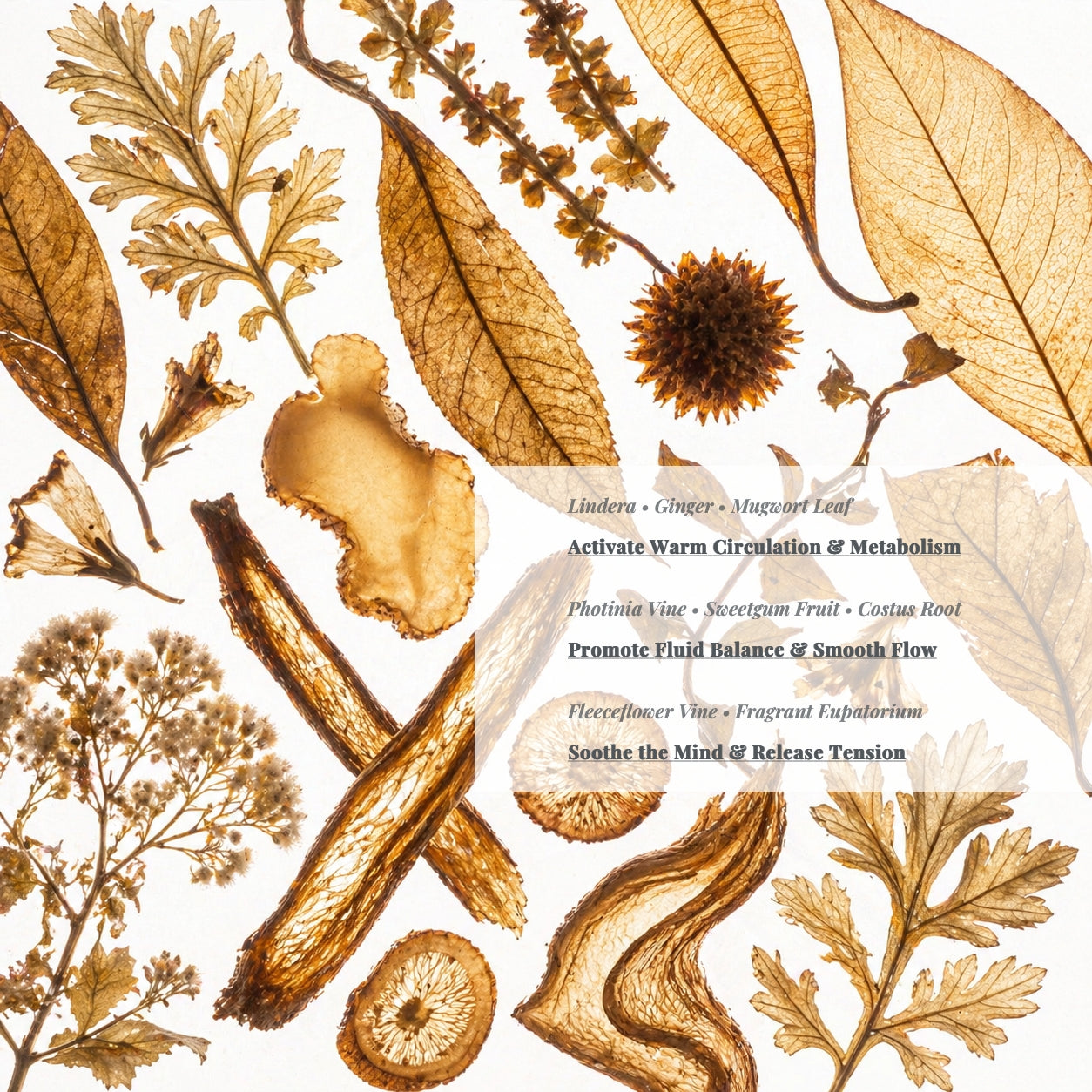 SCULPT - Herbal Bath Soak